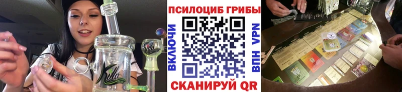 даркнет сайт Данилов MEGA зеркало Псилоцибиновые грибы прущие грибы